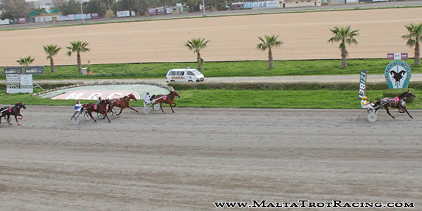 Race 5 confirmed result