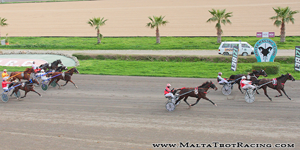 Race 7 confirmed result