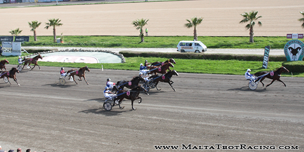 Race 5 confirmed result