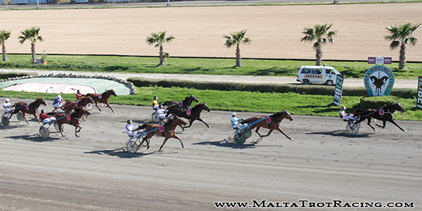 Race 5 confirmed result