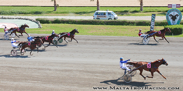 Race 5 confirmed result