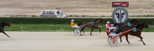 Race 6 confirmed result