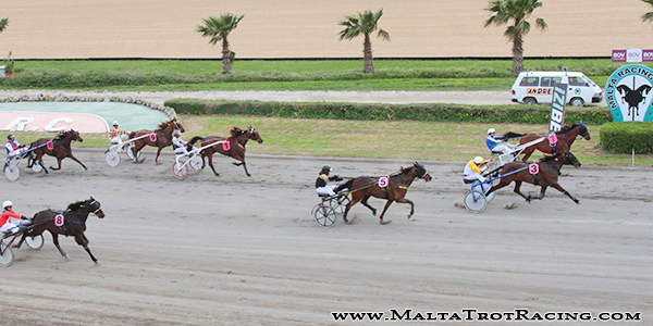 Race 5 confirmed result
