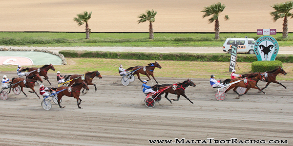 Race 7 confirmed result