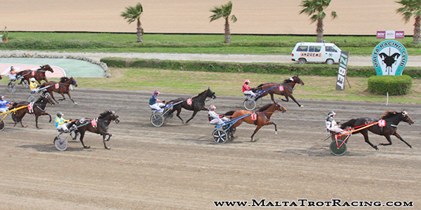 Race 8 confirmed result
