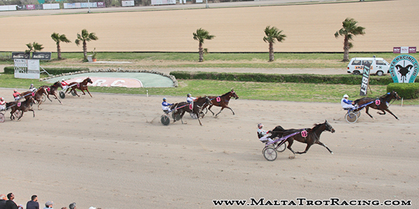 Race 5 confirmed result