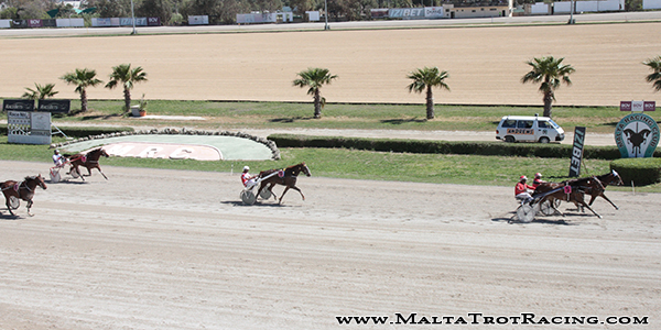 Race 5 confirmed result