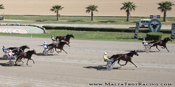 Race 7 confirmed result