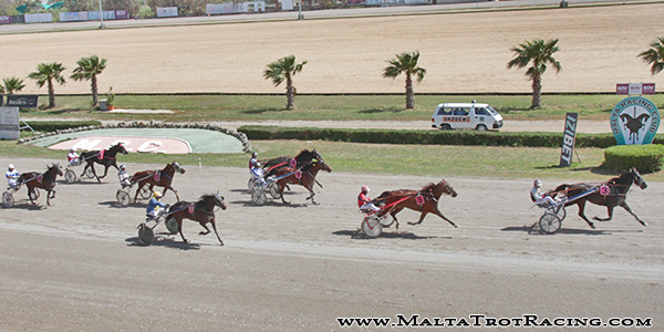 Race 5 confirmed result