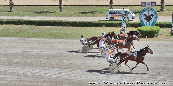 Race 7 confirmed result
