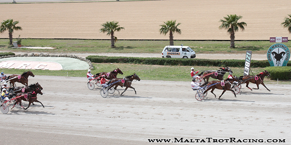 Race 5 confirmed result