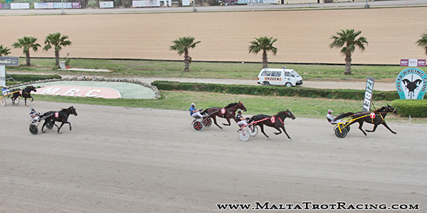Race 8 confirmed result