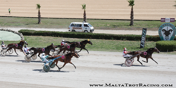 Race 5 confirmed result