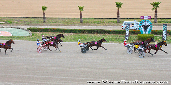 Race 5 confirmed result