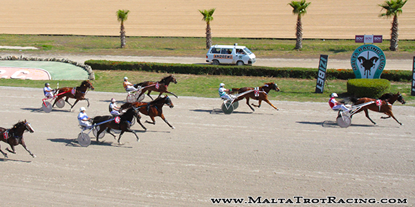 Race 8 confirmed result