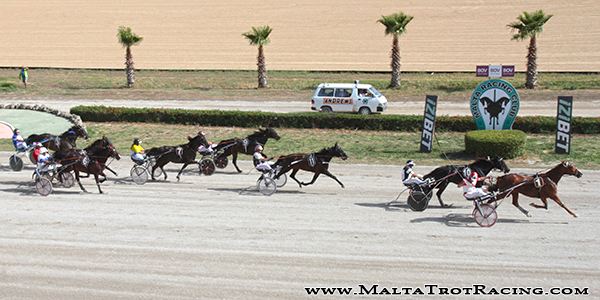 Race 7 confirmed result