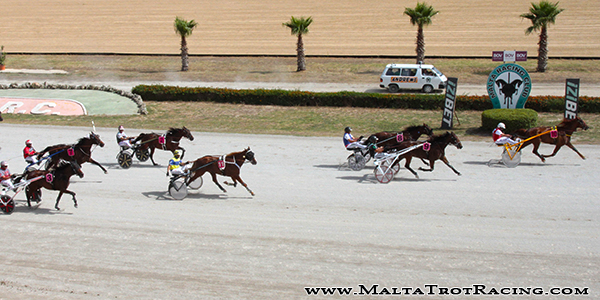 Race 5 confirmed result