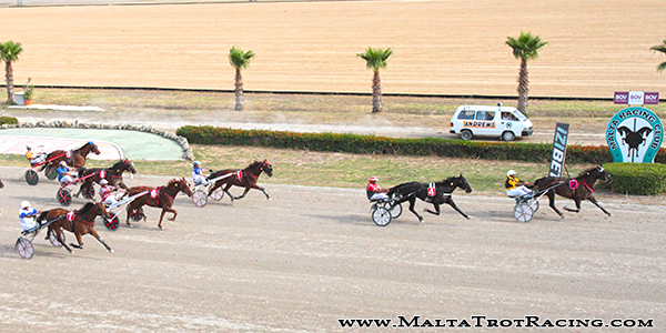 Race 8 confirmed result
