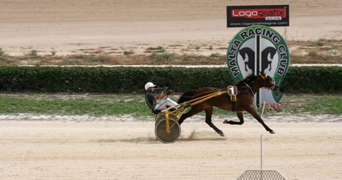 Race 7 confirmed result