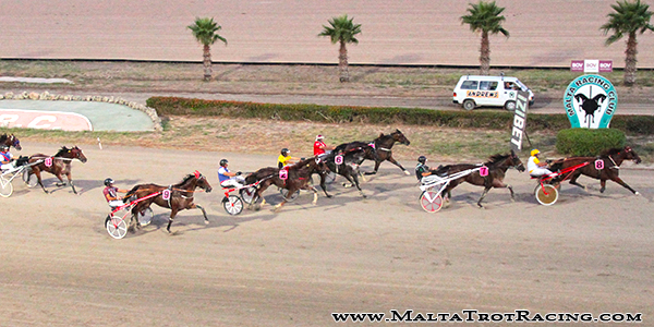 Race 5 confirmed result