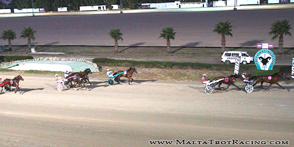 Race 5 confirmed result