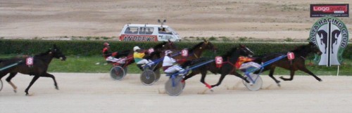 Race 8 confirmed result