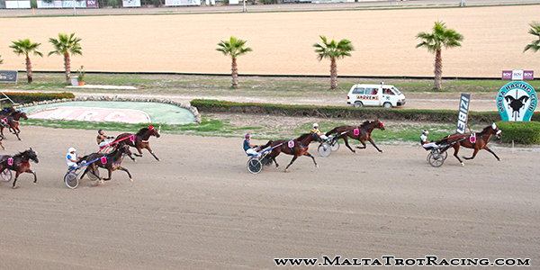 Race 5 confirmed result
