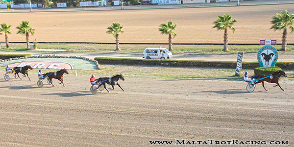 Race 7 confirmed result