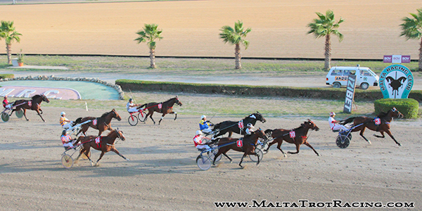 Race 8 confirmed result