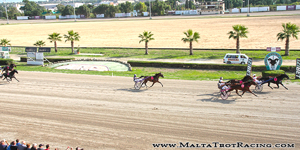 Race 5 confirmed result