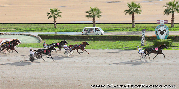 Race 5 confirmed result