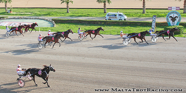 Race 5 confirmed result