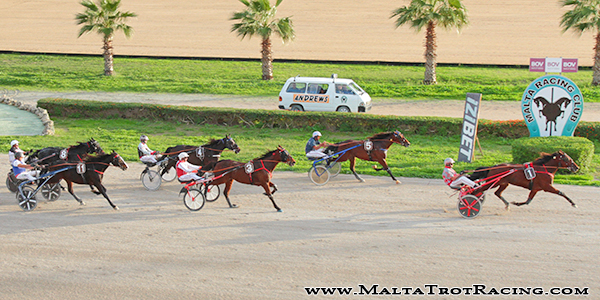 Race 7 confirmed result