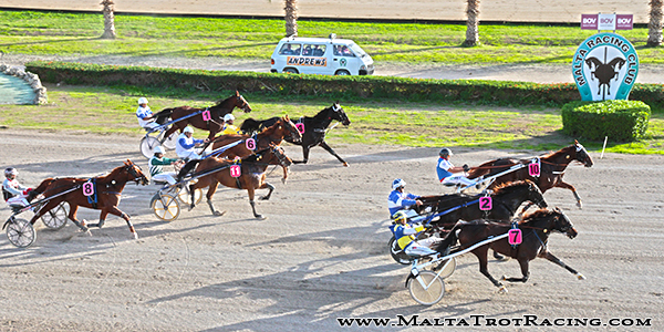 Race 5 confirmed result