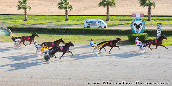 Race 5 confirmed result