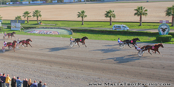 Race 5 confirmed result