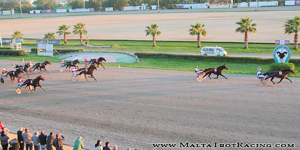 Race 8 confirmed result