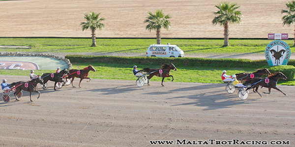 Race 5 confirmed result