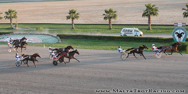 Race 7 confirmed result