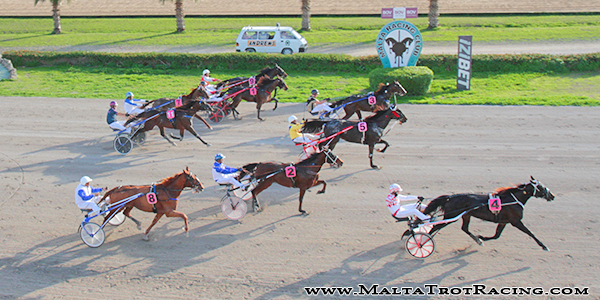 Race 5 confirmed result