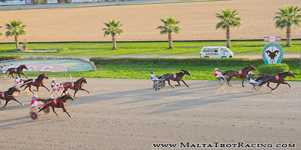 Race 8 confirmed result