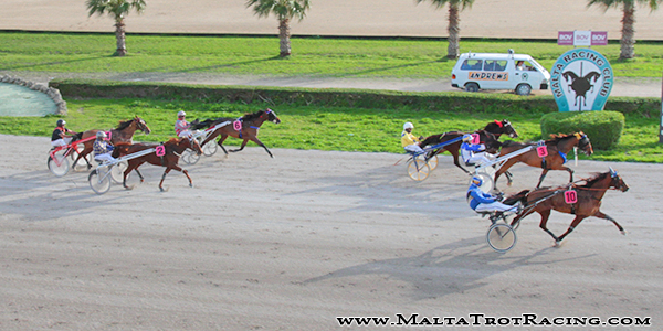 Race 5 confirmed result