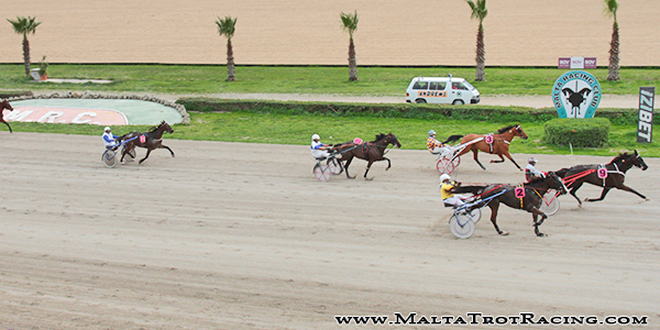Race 5 confirmed result