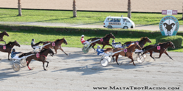 Race 5 confirmed result