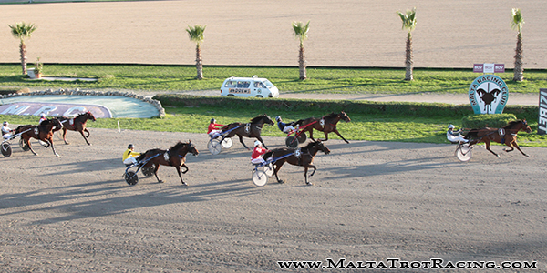 Race 7 confirmed result