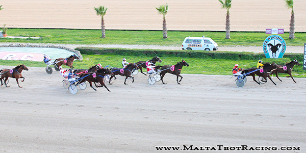 Race 5 confirmed result