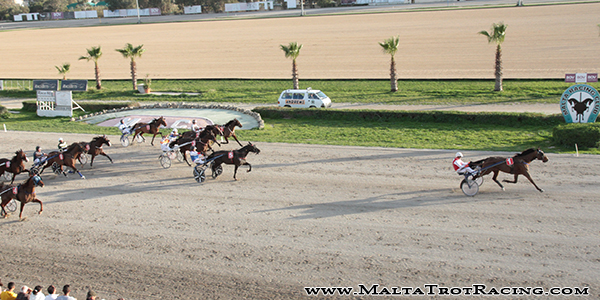 Race 8 confirmed result