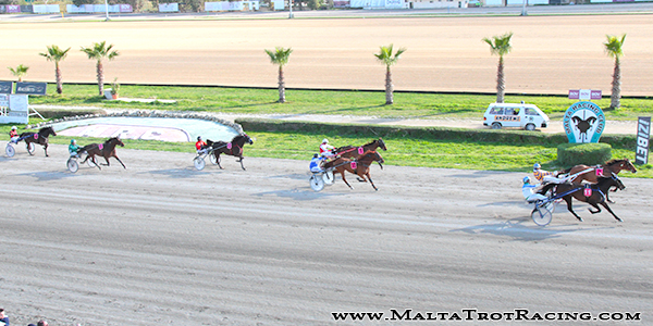 Race 5 confirmed result