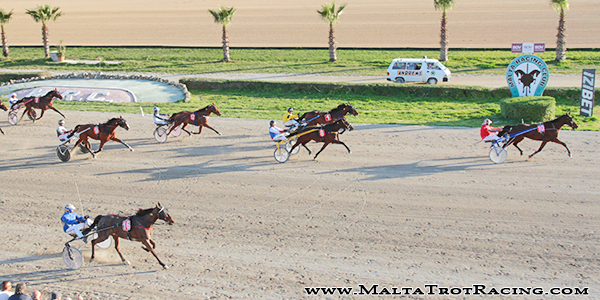 Race 8 confirmed result