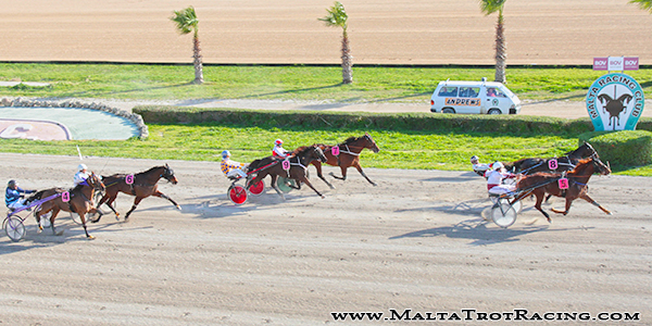 Race 5 confirmed result